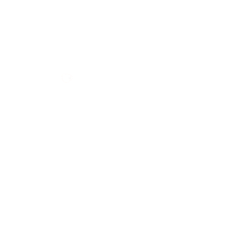 Space dog illustration
