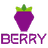 Berry Data logo