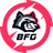 BFG Token logo