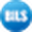 BilShares logo