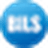 BilShares logo