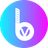 BitValley logo