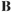 Botto logo