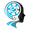 Brain Sync logo