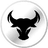 Bullmoon logo