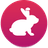 BunnyToken logo