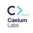 Caelum Labs logo