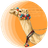 CamelToken logo