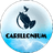 Carillonium finance logo
