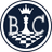 Chess Coin logo