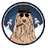 COUSIN DOGE COIN logo