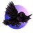 Crow Finance logo