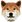 DogeCash logo