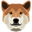 DogeCash logo