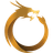 Dragon Coins logo