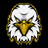 Eagle Vision logo