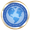 GlobalCoin logo