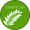 Greencoin logo