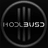 HodlBUSD logo