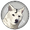 Jindoge logo