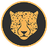 Kitty Kat Coin logo