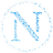 NAM COIN logo