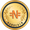 NamoCoin logo