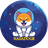Nasa Doge logo