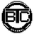 Ordinal BTC logo
