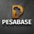 Pesabase logo