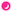 PolkaPets logo