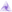 Prism Network logo