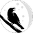 RavenMoon logo
