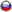 RussiaCoin logo