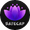 SafeCap Token logo