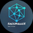 SafeWallet Token logo