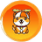 Son of Babydoge logo