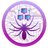 SPIDER VPS logo