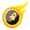 Stellar Gold logo