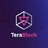 TeraBlock logo