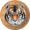 Tigercoin logo