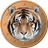 Tigercoin logo