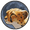 Token Cheetah logo