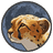 Token Cheetah logo