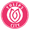 Tulips City logo