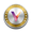 VINX COIN logo