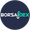 BorsaDEX Биржа