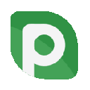 P2B logo