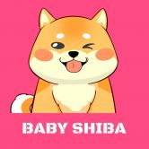 Baby Shiba