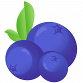 BlueBerry Finance